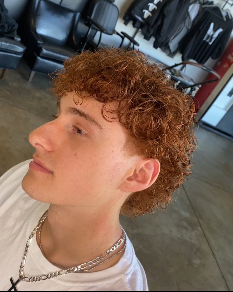 Curly haircut with low taper